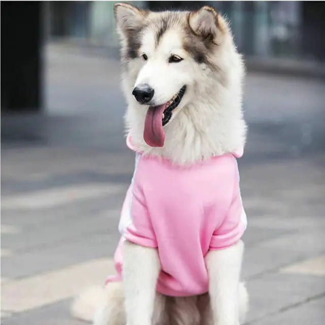 Adidog Dog Sport Hoodies