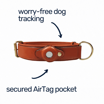 Durable Leather Airtag Dog Collar™ "AIR TAG INCLUDED"