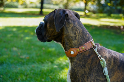 Durable Leather Airtag Dog Collar™