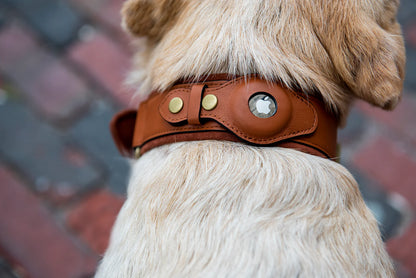 Durable Leather Airtag Dog Collar™